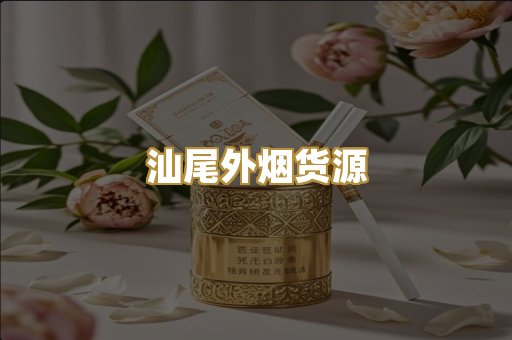 汕尾外烟货源
